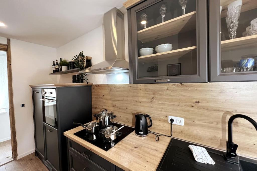 Ar Iii I 4 Pers I Modern I Schillerapartment Apartment Rudolstadt